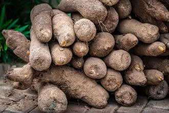 Wild Yam